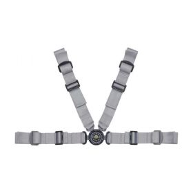 Schroth 4-point seatbelts